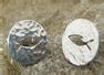 Precious To Me Designs Kettering
