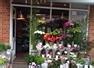 Magnolia the Florist Kettering